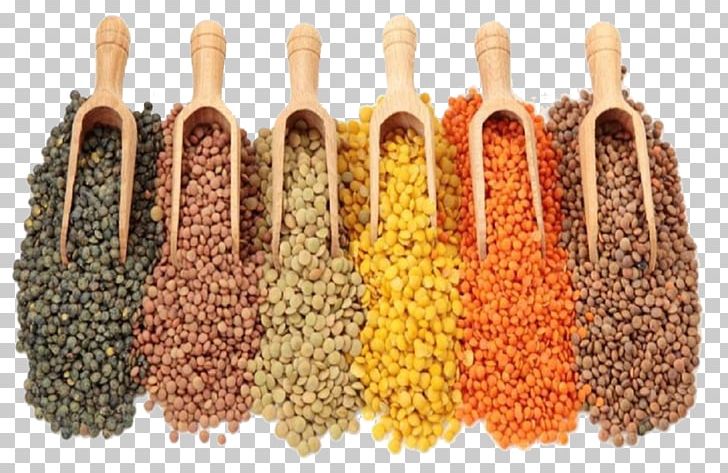 India Dal Legume Black Gram Grain PNG, Clipart, Black Gram, Cereal, Chickpea, Commodity, Dal Free PNG Download