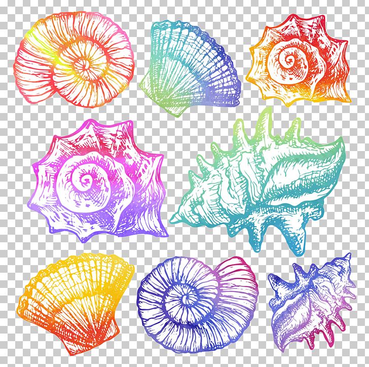 Watercolor Painting Cartoon Seashell Illustration PNG, Clipart, Adobe Illustrator, Art, Cartoon Conch, Color, Conch Free PNG Download