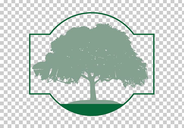 Family Time Outdoors Rio Grande Valley Business Research PNG, Clipart, Area, Branch, Business, Circle, Flowering Plant Free PNG Download