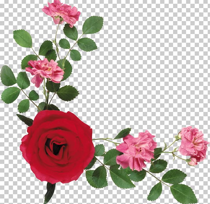 Portable Network Graphics Flower Garden Roses PNG, Clipart, Annual Plant, Cut Flowers, Floral Design, Floribunda, Floristry Free PNG Download