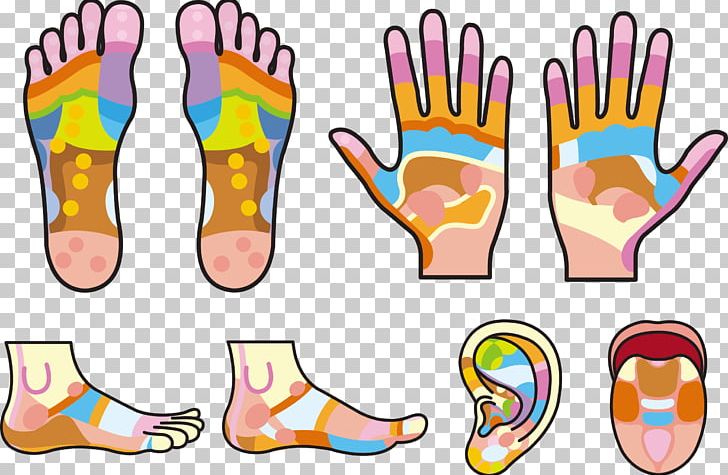 Hand Reflexology Foot PNG, Clipart, Acupressure, Alternative Health Services, Area, Coreldraw, Ear Free PNG Download