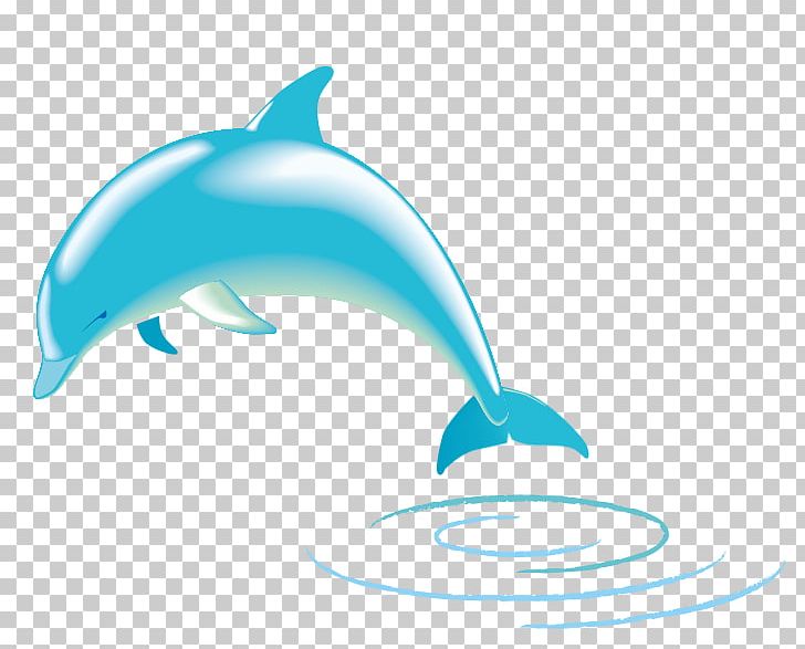 Spinner Dolphin Common Bottlenose Dolphin PNG, Clipart, Bottlenose Dolphin, Burrunan Dolphin, Clip Art, Common Bottlenose Dolphin, Delfin Free PNG Download