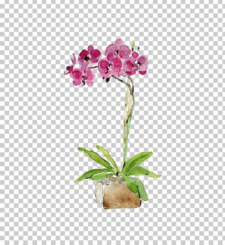 Watercolor Painting Orchids Drawing Printmaking PNG, Clipart, Artificial Flower, Botanical Illustration, Color, Cut Flowers, Flor Free PNG Download