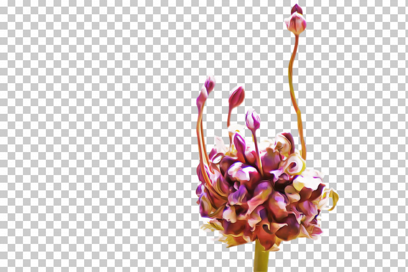 Floral Design PNG, Clipart, Cartoon, Cut Flowers, Floral Design, Flower, Flower Bouquet Free PNG Download