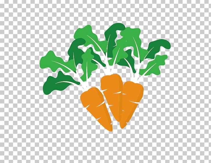 Carrot Drawing Cartoon PNG, Clipart, Balloon Cartoon, Boy Cartoon, Carrot Seed Oil, Carrot Vector, Cartoon Couple Free PNG Download
