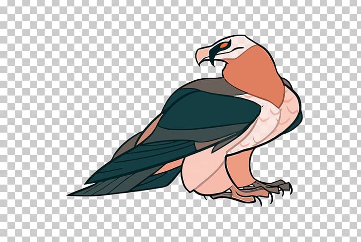 Drawing Cartoon Bearded Vulture Illustration PNG, Clipart, Anima, Animals, Bird, Cartoon, Cartoon Character Free PNG Download