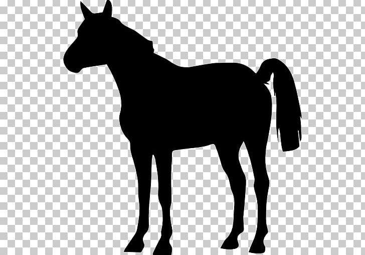 Horse Drawing PNG, Clipart, Animal, Animals, Black, Black And White, Bridle Free PNG Download