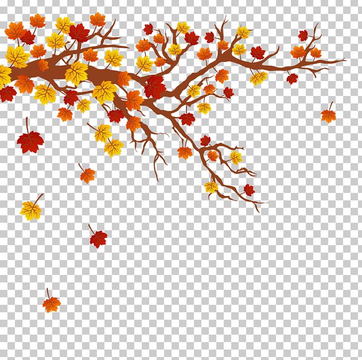 Autumn Leaf Color Tree Branch PNG, Clipart, Area, Autumn, Autumn Leaves, Autumn Vector, Branch Free PNG Download