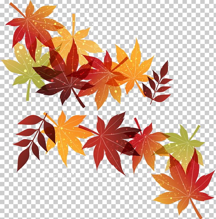 Autumn Maple Leaf PNG, Clipart, Autumn, Autumn Leaf Color, Autumn Leaves, Autumn Tree, Blade Free PNG Download