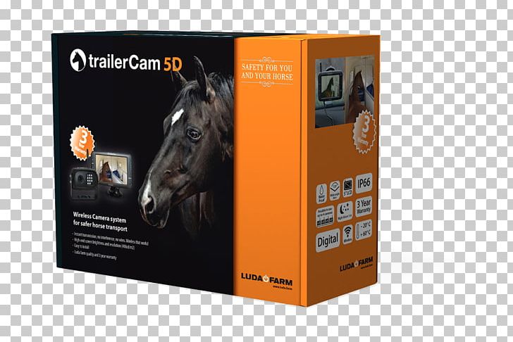 Canon EOS 5D Horse Trailer Camera Surveillance PNG, Clipart, Animals, Brand, Camera, Canon, Canon Eos 5d Free PNG Download