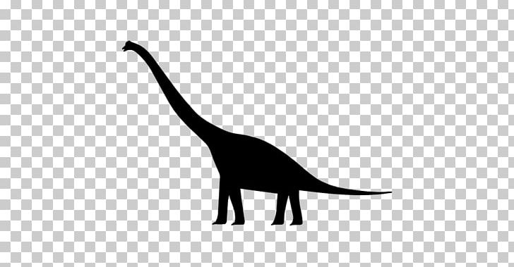 Brachiosaurus Dinosaur Bird Apatosaurus PNG, Clipart, Bird, Black, Black And White, Brachiosaurus, Carnivoran Free PNG Download