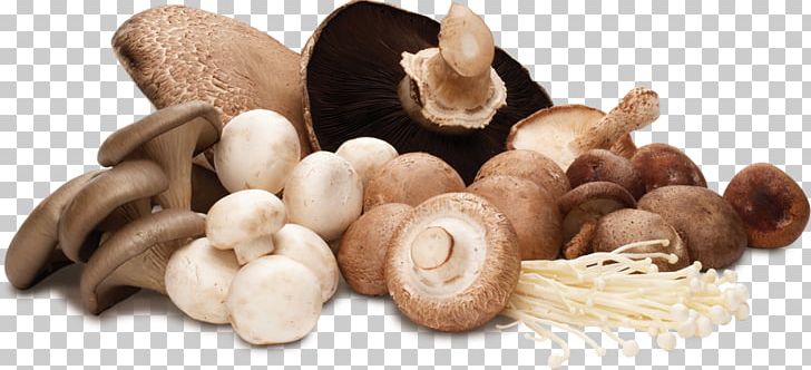 Edible Mushroom Common Mushroom Shiitake Vegetable Hen-of-the-wood PNG, Clipart, Cream Of Mushroom Soup, Edible Mushroom, Eintopf, Flavor, Food Free PNG Download