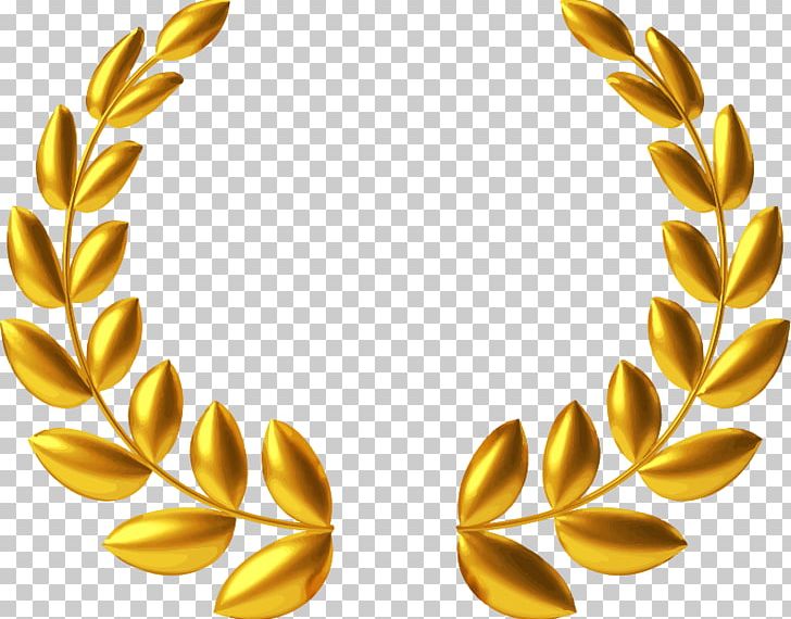 Laurel Wreath Gold Medal PNG, Clipart, Award, Bay Laurel, Body Jewelry, Commodity, Flower Free PNG Download