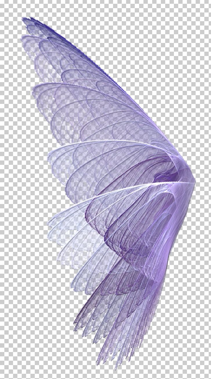 Wing Feather Transparency And Translucency PNG, Clipart, Animals, Animation, Balloon Cartoon, Butterfly, Cartoon Character Free PNG Download