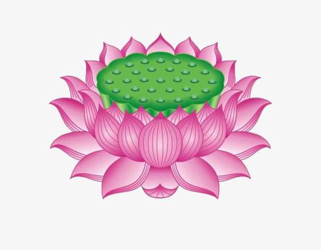 Bodhisattva Lotus PNG, Clipart, Bodhisattva Clipart, Bodhisattva Clipart, Lamp, Leaf, Lotus Free PNG Download