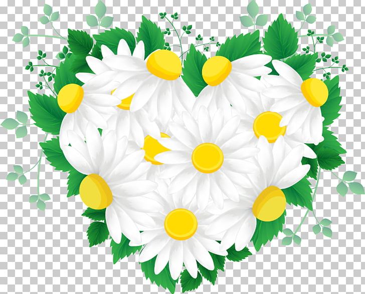 Cut Flowers Green PNG, Clipart, Bud, Chrysanths, Cut Flowers, Daisy, Daisy Family Free PNG Download