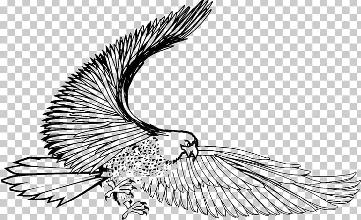 Bird Eagle Black And White Hawk PNG, Clipart, Art, Beak, Bird, Bird Of Prey, Black And White Free PNG Download