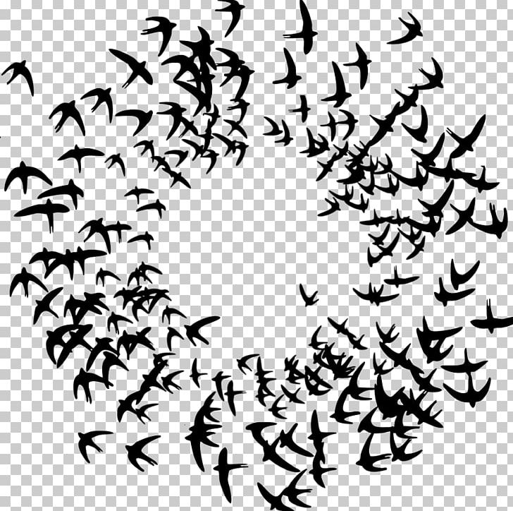 Bird Swallow Paper Adhesive Passerine PNG, Clipart, Adhesive, Angle, Animals, Artwork, Barn Swallow Free PNG Download
