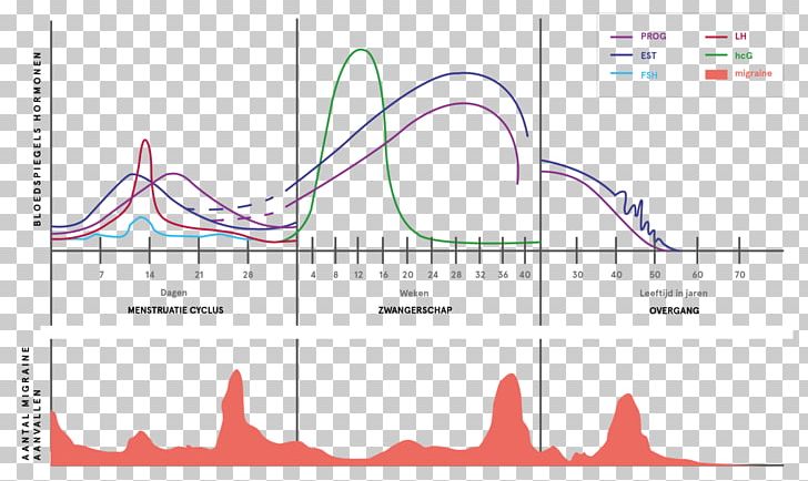 Follicle-stimulating Hormone Migraine Menopause Woman PNG, Clipart, Angle, Area, Aura, Brand, Childbirth Free PNG Download