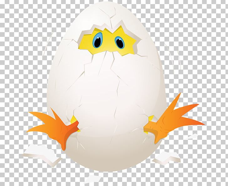 Chicken Egg Chicken Egg PNG, Clipart, Animals, Beak, Bird, Broken, Broken Glass Free PNG Download