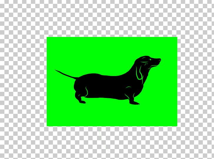 Dachshund Puppy Dog Breed Leash Rectangle PNG, Clipart, Animals, Breed, Carnivoran, Carpenter, Dachshund Free PNG Download