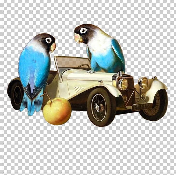 Parrot Bird Macaw Cockatiel PNG, Clipart, Animal, Animals, Beak, Bird, Cat Free PNG Download