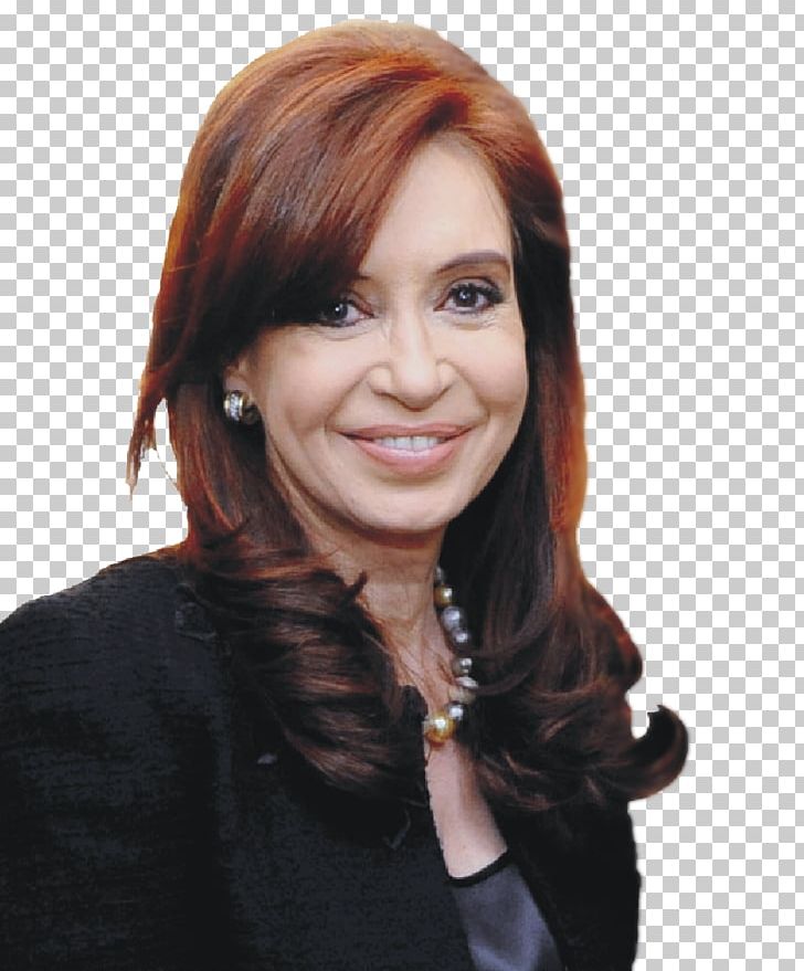 Cristina Fernández De Kirchner Management Business Vice President Board ...