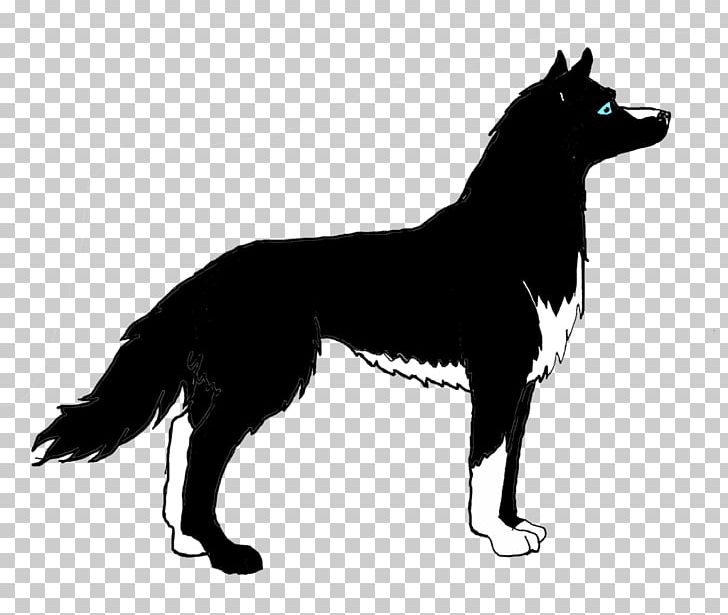 Karelian Bear Dog Schipperke Irish Setter Dog Breed PNG, Clipart, Animals, Black, Black And White, Breed, Carnivoran Free PNG Download