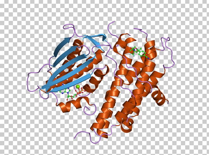 PDK2 Art Pyruvate Dehydrogenase Kinase Isozyme PNG, Clipart, Art, Art Museum, Contain, Crystal, Dehydrogenase Free PNG Download
