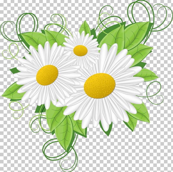 Flower Frames PNG, Clipart, Artwork, Camomile, Chamomile, Chrysanths, Circle Free PNG Download