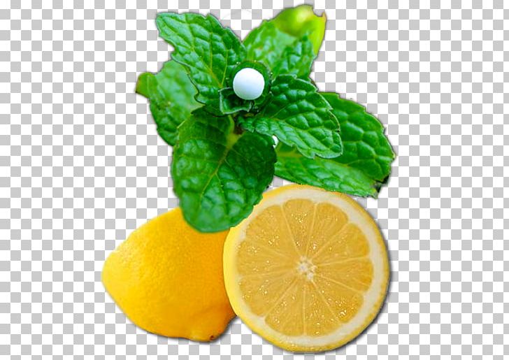 Lemon-lime Drink Key Lime Rangpur Citron PNG, Clipart, Acid, Bitter Orange, Citric Acid, Citron, Citrus Free PNG Download