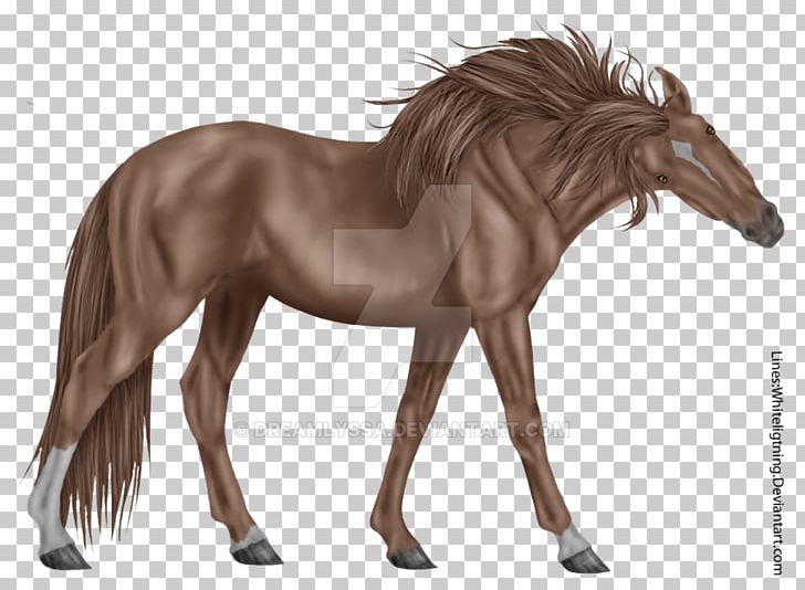Mustang Mare Foal Stallion Halter PNG, Clipart,  Free PNG Download