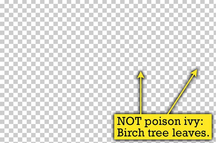 Poison Ivy Poison Sumac Pacific Poison Oak PNG, Clipart, Angle, Birch, Brand, Diagram, Grass Free PNG Download