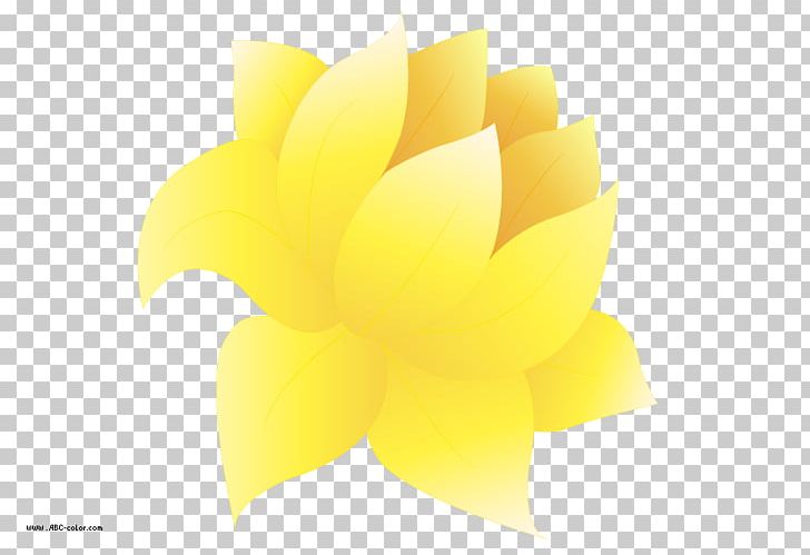 Flower Petal Yellow Desktop Close-up PNG, Clipart, Closeup, Computer, Computer Wallpaper, Desktop Wallpaper, Flower Free PNG Download