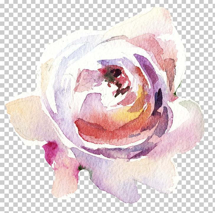 Garden Roses Flower PNG, Clipart, Cartoon, Color, Cut Flowers, Flower Pattern, Flowers Free PNG Download
