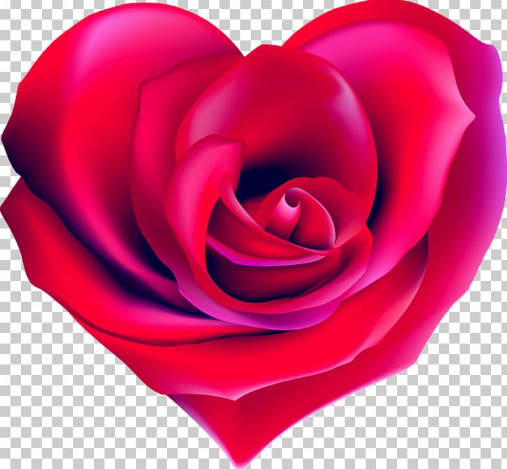 Heart Rose Shape Drawing PNG, Clipart, Closeup, Color, Cut Flowers, Desktop Wallpaper, Drawing Free PNG Download