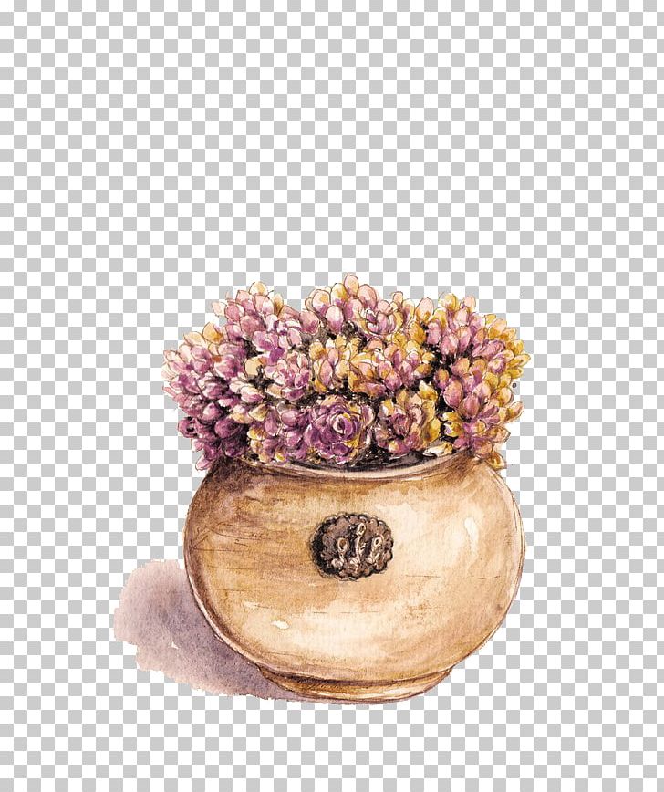 Succulent Plant Purple Flowerpot PNG, Clipart, Color, Color Of Lead, Flower, Flowers, Hand Free PNG Download