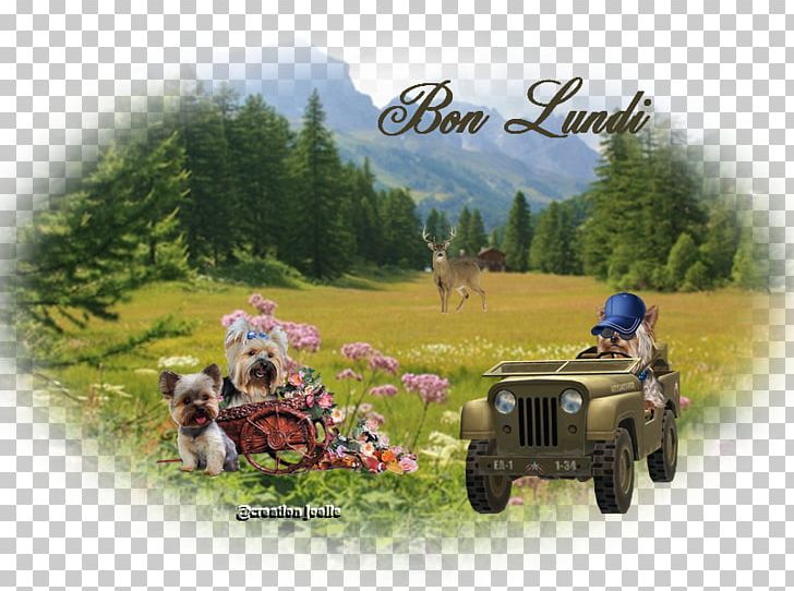 Vehicle Landscape Adventure Film PNG, Clipart, Adventure, Adventure Film, Grass, Landscape, Mode Of Transport Free PNG Download