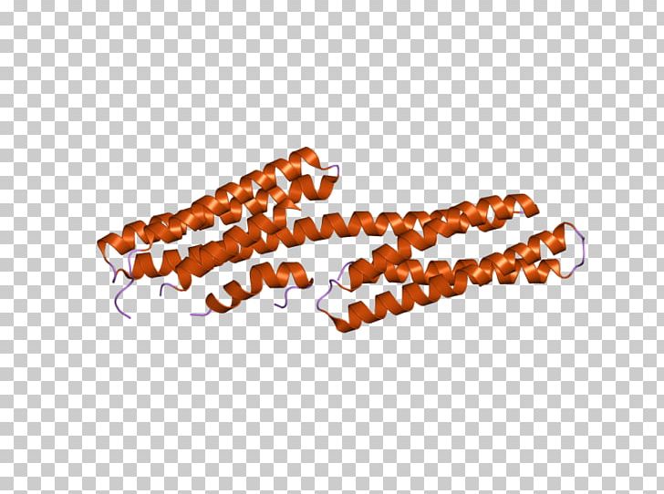 Vinculin Integrin Cytoskeleton Actin Protein PNG, Clipart, Actin, Adhesion, Arsenic, Cell, Cell Adhesion Molecule Free PNG Download