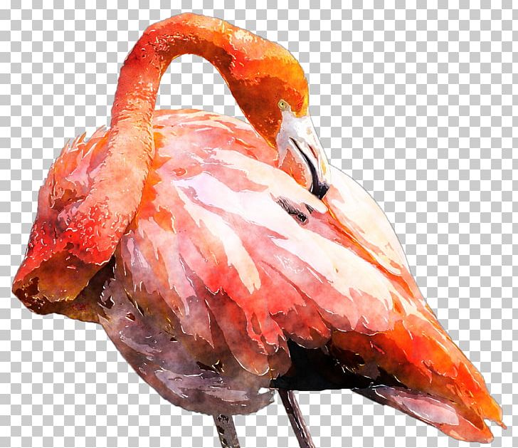 Watercolor Painting Art PNG, Clipart, Art, Artist, Beak, Bird, Color Free PNG Download
