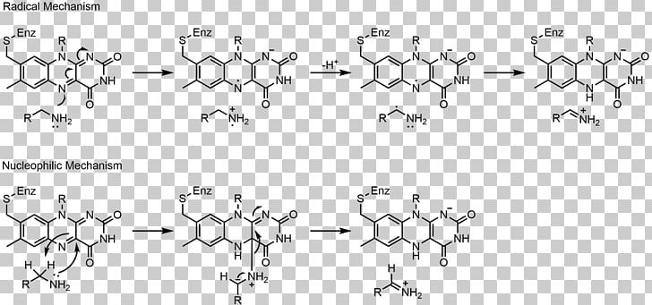 Flavin Adenine Dinucleotide Flavin Group Flavoprotein Redox Monoamine Oxidase PNG, Clipart, Active Site, Aldehyde, Angle, Black And White, Carbon Free PNG Download