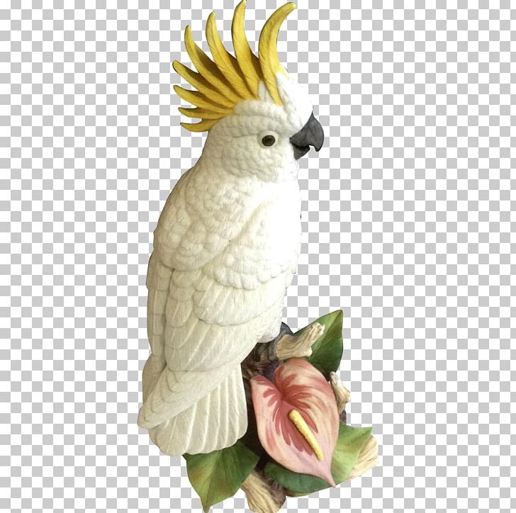 Bird Cockatiel Sulphur-crested Cockatoo Budgerigar PNG, Clipart, Animals, Beak, Bird, Budgerigar, Cacatua Free PNG Download