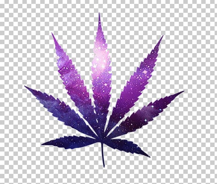 Cannabis Sativa Cannabis Smoking Medical Cannabis Legality Of Cannabis PNG, Clipart, Cannabis, Cannabis Cultivation, Cannabis Sativa, Cannabis Smoking, Drugs Free PNG Download