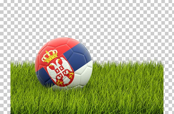 FIFA World Cup Serbia National Football Team American Football Sport PNG, Clipart, Ball, Eli Manning, Flag Football, Football, Football Association Of Serbia Free PNG Download