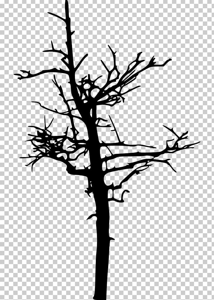 Twig Silhouette PNG, Clipart, Animals, Art, Artwork, Black And White, Branch Free PNG Download