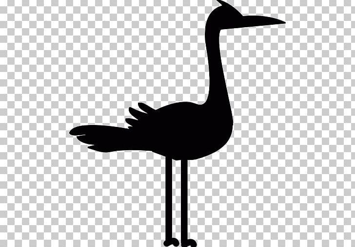 Computer Icons Icon Design PNG, Clipart, Animals, Beak, Bird, Black And White, Computer Icons Free PNG Download