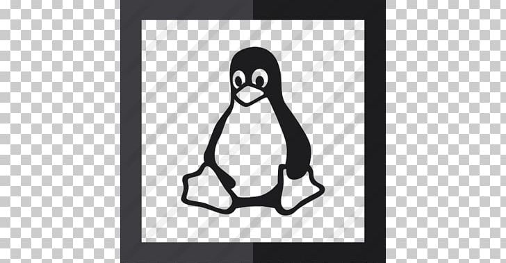 Computer Icons Linux Portable Network Graphics Desktop Environment Window PNG, Clipart, Bird, Black, Black And White, Commandline Interface, Computer Icons Free PNG Download