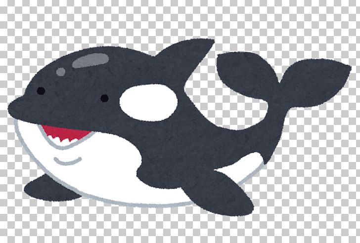 Killer Whale Kumiyama Town Mimaki Elementary School Dolphin Great White Shark Cetaceans PNG, Clipart, Algorithmic Trading, Animal, Carnivoran, Dog Like Mammal, Dolphin Free PNG Download