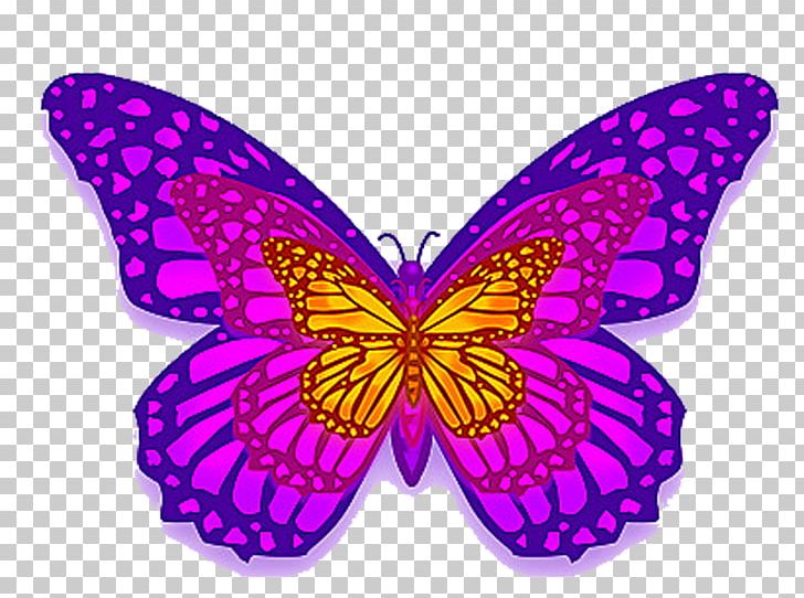 Monarch Butterfly Purple PNG, Clipart, Animal, Brush Footed Butterfly, Butte, Butterflies, Butterfly Free PNG Download