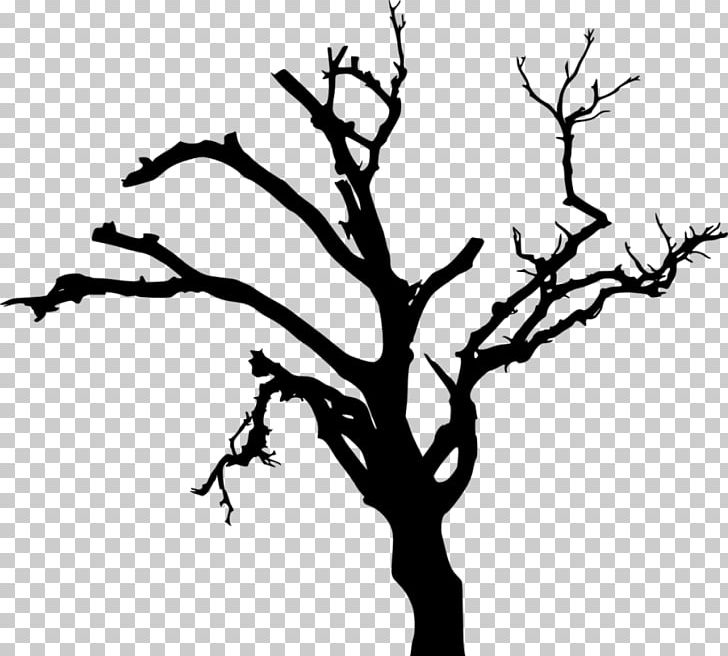 Tree Silhouette Photography PNG, Clipart, Artwork, Black And White, Branch, Drawing, Flora Free PNG Download